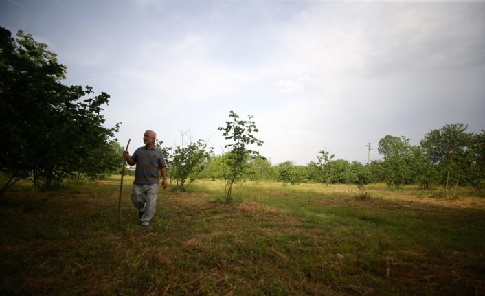 Kaybolan hayvanlarını drone ile arıyorlar