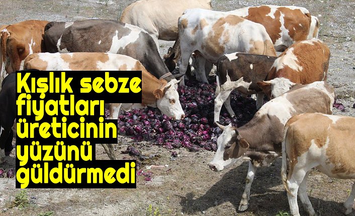 Kışlık sebze fiyatları üreticinin yüzünü güldürmedi