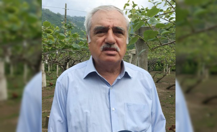 Kivi üreticileri hibe desteklerinin sürmesini istiyor