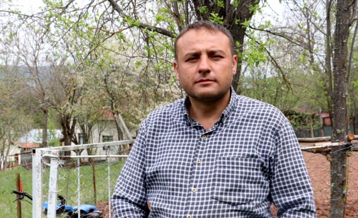 Köy imamı gurbetteki köylülerin bahçesini sürüyor, üzüm asmalarını buduyor