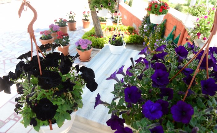 Muhtar cami avlusunu adeta botanik bahçesine dönüştürdü