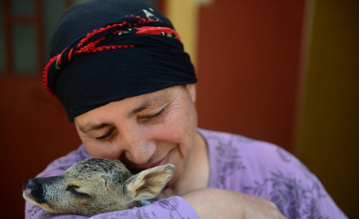 Öksüz karacaların 