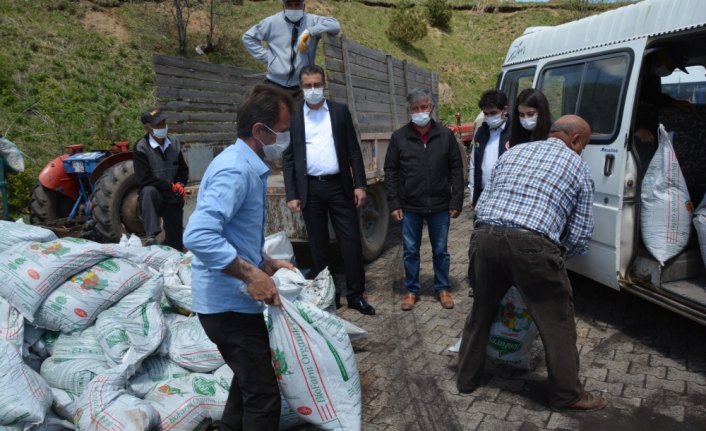 Ordu'nun tescilli Akkuş fasulyesi üreticilerine organik gübre desteği
