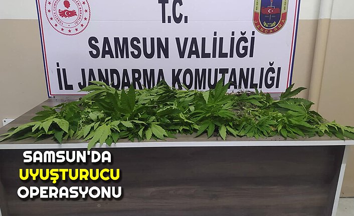 SAMSUN'DA UYUŞTURUCU OPERASYONU 