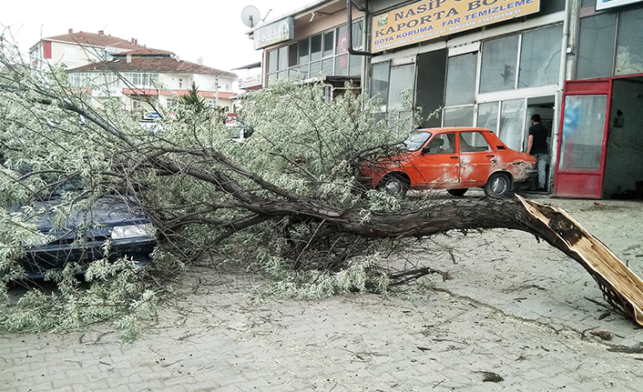 Samsun'da şiddetli rüzgar