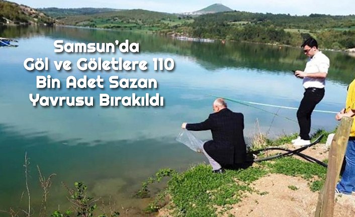 Samsun’da Göl ve Göletlere 110 Bin Adet Sazan Yavrusu Bırakıldı