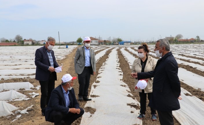 Samsun'da çiftçilere hibeli çeltik tohumu dağıtımı