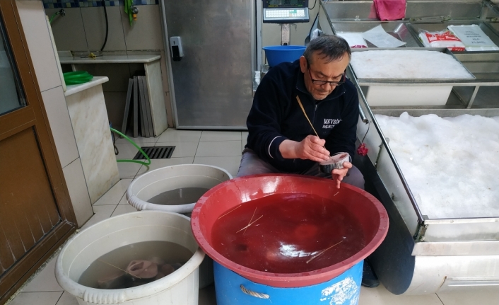 Sezonunda avlanan torikler lakerdaya dönüştü