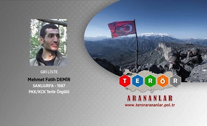 Tunceli'de etkisiz hale getirilen terörist gri listede