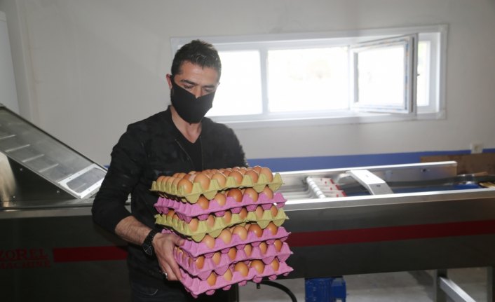 Yumurta üreticileri talebe yetişemiyor