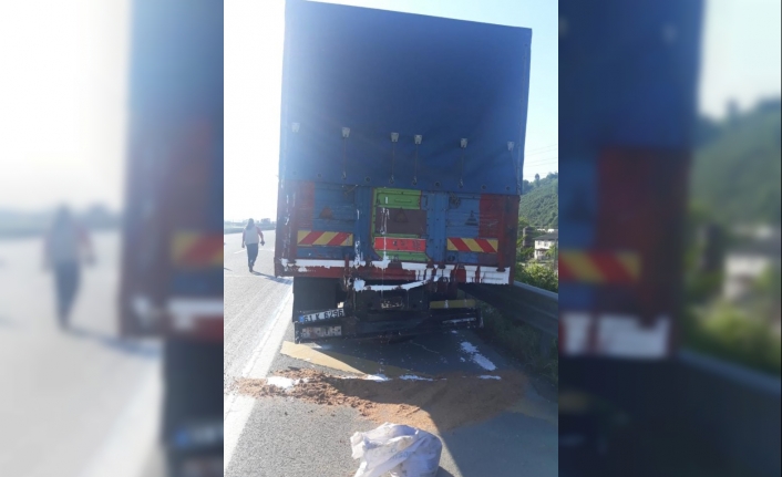 Anadolu Otoyolu'nda iki kamyon çarpıştı: 5 yaralı