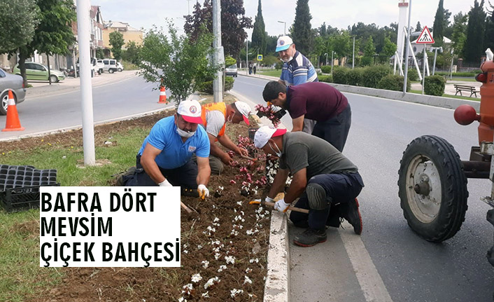 BAFRA DÖRT MEVSİM ÇİÇEK BAHÇESİ