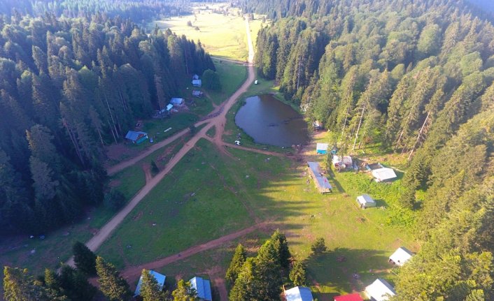 Batı Karadeniz yaylaları normalleşme süreciyle şenlendi