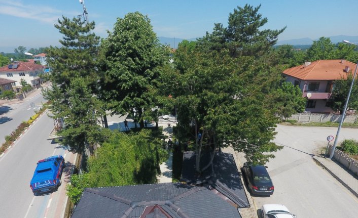 Çevre dostu jandarma hurma ağacını nizamiye binasına dahil etti