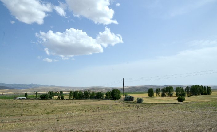 Çorum'da jandarma ve avcılar 