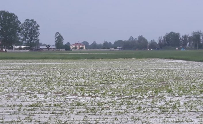 Kastamonu'da dolu tarım arazilerine zarar verdi