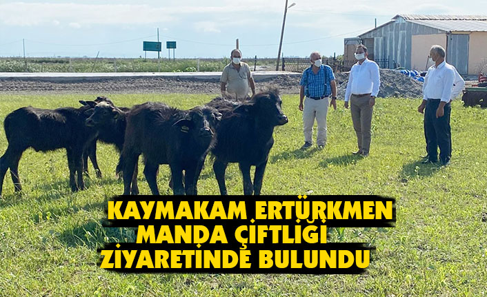  KAYMAKAM ERTÜRKMEN MANDA ÇİFTLİĞİ ZİYARETİNDE BULUNDU