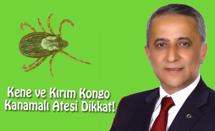Kene ve Kırım Kongo Kanamalı Ateşi DİKKAT!