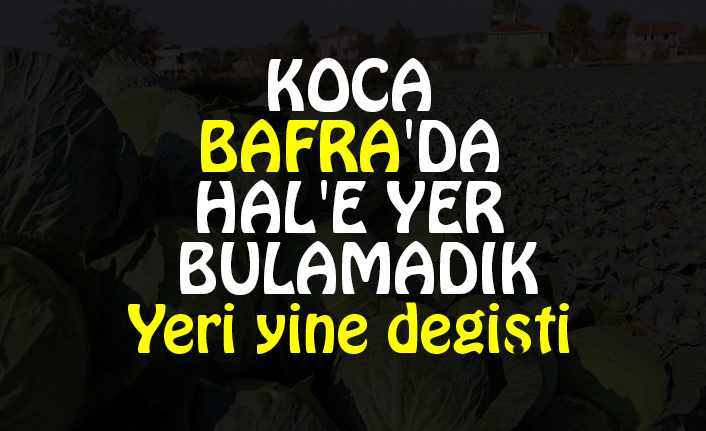 KOCA BAFRA'DA HAL'E YER BULAMADIK