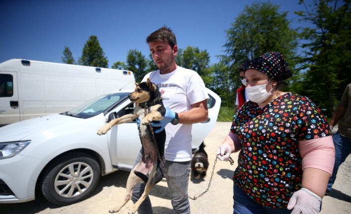 Köpeği yaralanan yaşlı kadının yardımına Vefa ekipleri koştu