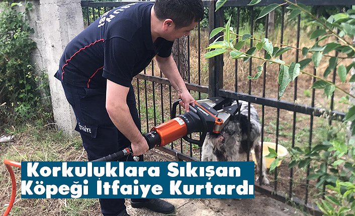 Korkuluklara Sıkışan Köpeği İtfaiye Kurtardı