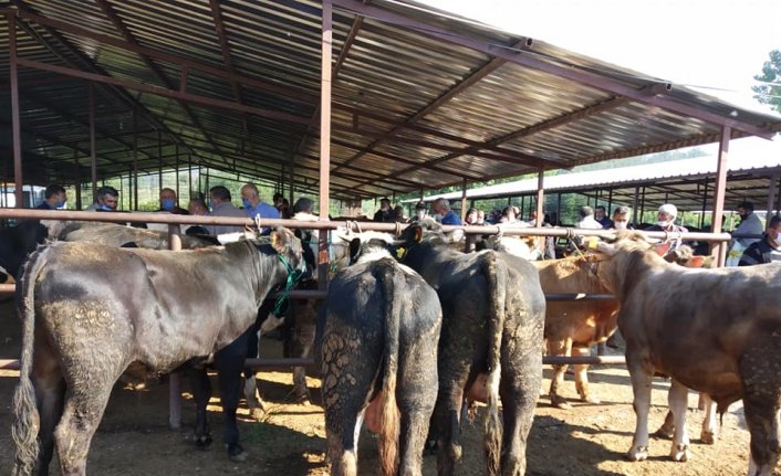 Mudurnu hayvan pazarı yeniden hizmete açıldı