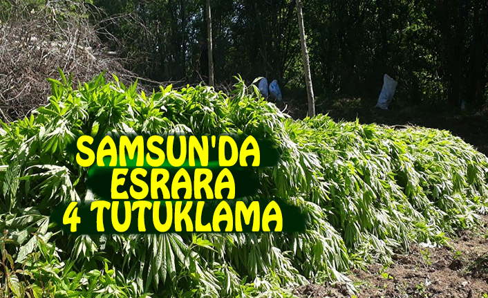 SAMSUN'DA ESRARA 4 TUTUKLAMA