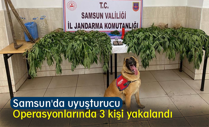 Samsun'da uyuşturucu operasyonlarında 3 kişi yakalandı