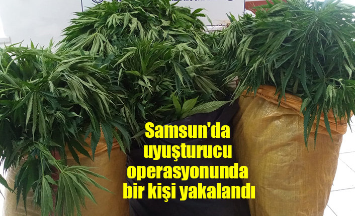 Samsun'da uyuşturucu operasyonunda bir kişi yakalandı