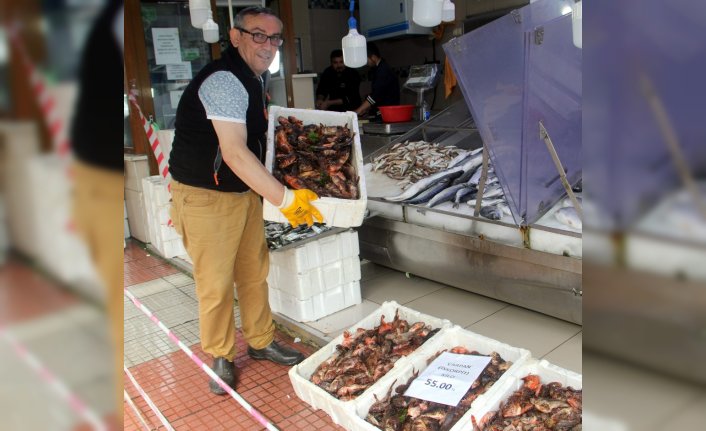 Sinop'ta iskorpit balığının kilogramı 55 liradan satılıyor