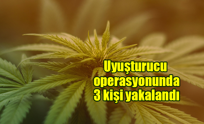 Uyuşturucu operasyonunda 3 kişi yakalandı