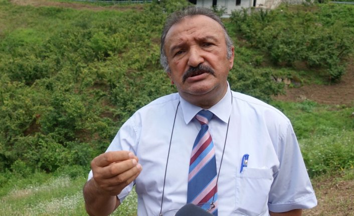 Artvin'de 50 dönüm alanda aronya üretilmesi hedefleniyor