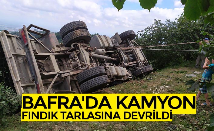 BAFRA'DA KAMYON FINDIK TARLASINA DEVRİLDİ