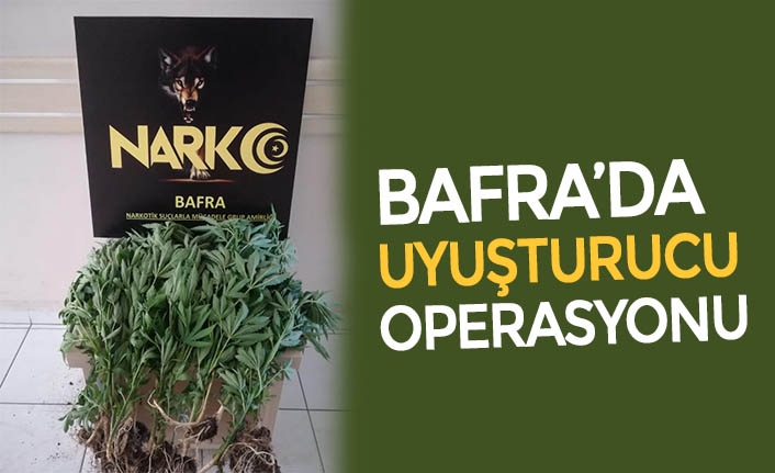 BAFRA’DA UYUŞTURUCU OPERASYONU
