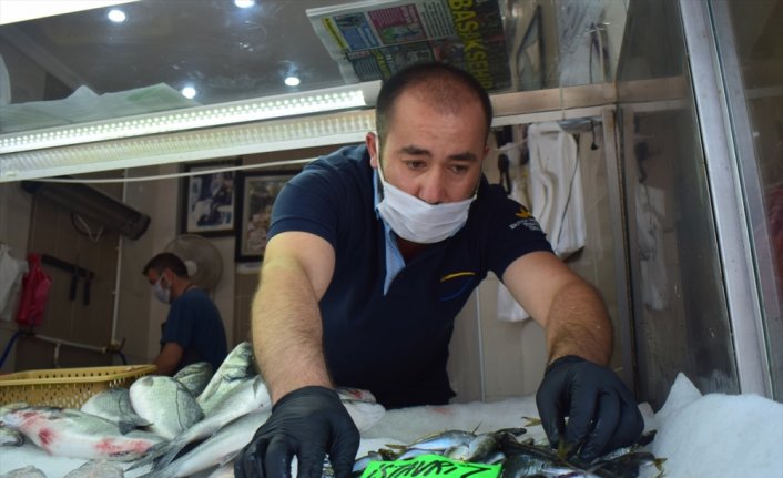 Batı Karadeniz'de balık kıtlığı fiyatları yükseltti