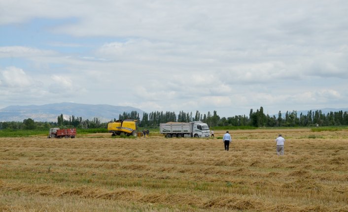 Biçerdöver denetimleri yılda 30 bin ton buğday kaybını önlüyor