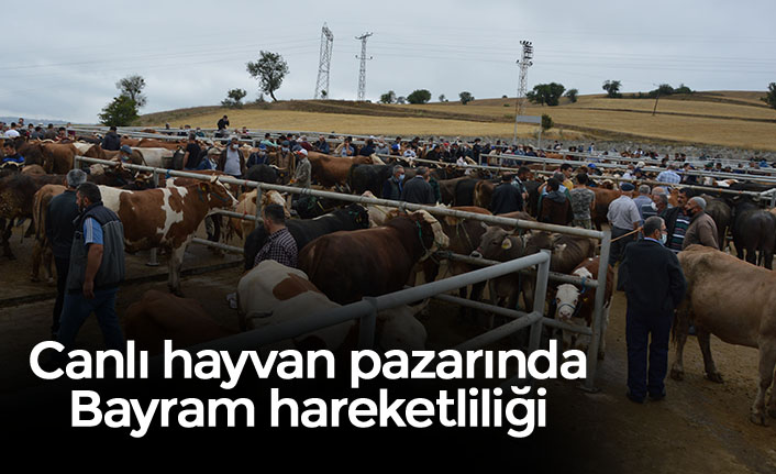 Canlı hayvan pazarında Bayram hareketliliği 