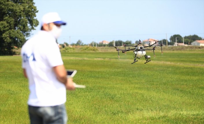 Çeltik alanları ZİHA ile ilaçlanıyor