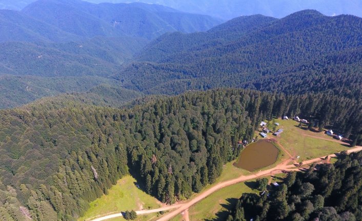 İZOLE TATİLİN ALTERNATİF ADRESLERİ YAYLALAR - Düzce yaylaları doğaseverleri cezbediyor