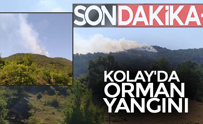 KOLAY'DA ORMAN YANGINI