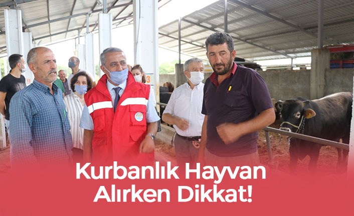 Kurbanlık Hayvan Alırken Dikkat!