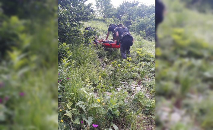 Rize'de otomobil uçuruma yuvarlandı: 1 ölü, 3 yaralı
