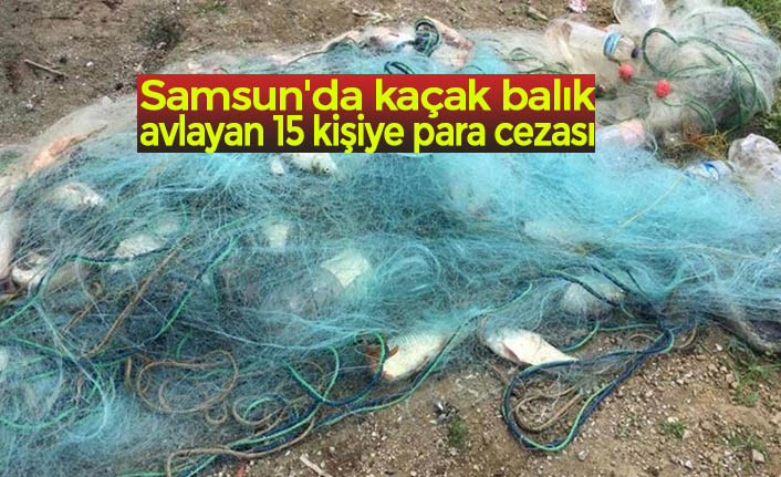 Samsun'da kaçak balık avlayan 15 kişiye para cezası