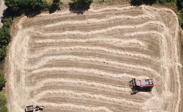 Samsun'da ata yadigarı 