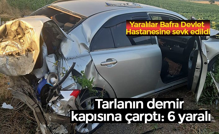 Tarlanın demir kapısına çarptı: 6 yaralı