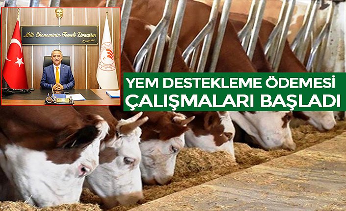 YEM DESTEKLEME ÖDEMESİ ÇALIŞMALARI BAŞLADI