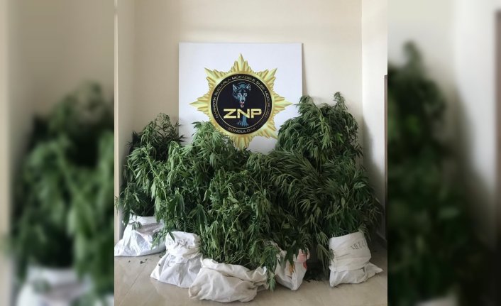 Zonguldak'ta uyuşturucu operasyonunda yakalanan şüpheli tutuklandı