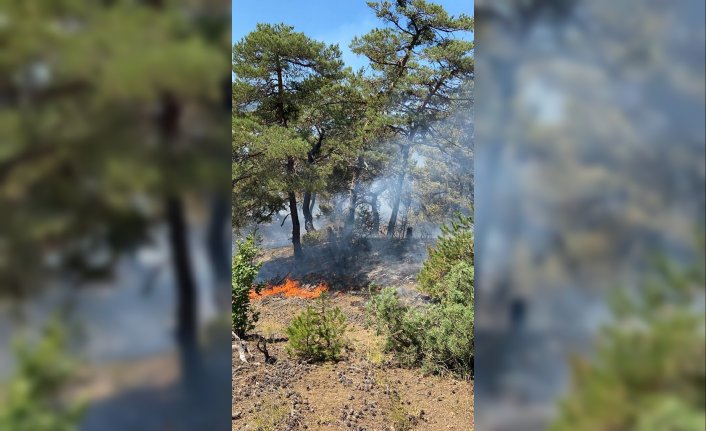 Amasya'da çıkan orman yangınına müdahale ediliyor