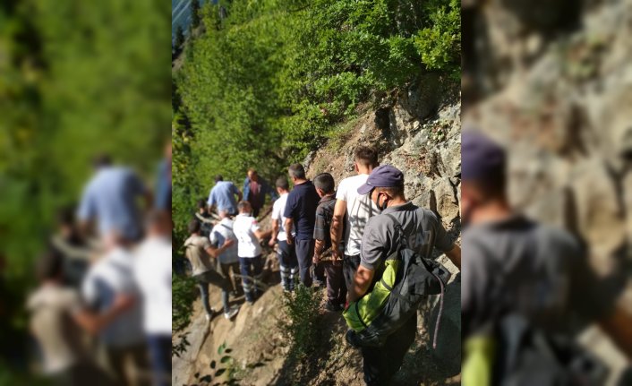 Artvin'de uçuruma düşen kadın hayatını kaybetti
