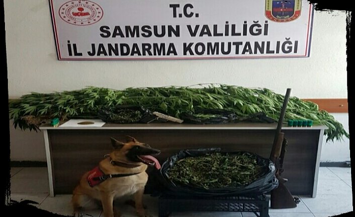 BAFRA'DA UYUŞTURUCU OPERASYONU